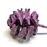 purplecone