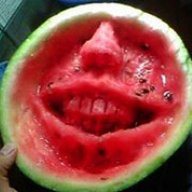 arbuz