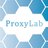 Proxy-Lab