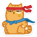 cat13 {cat13} {cat13}